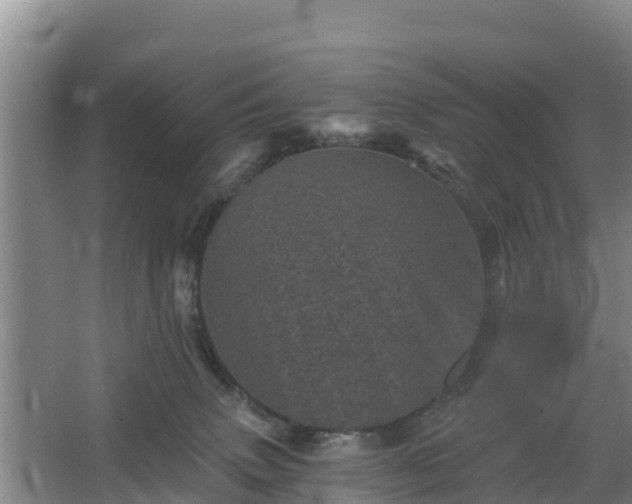 X0000068280083200604281629