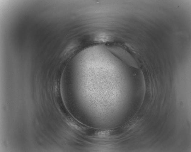 X0000068280084200604281629