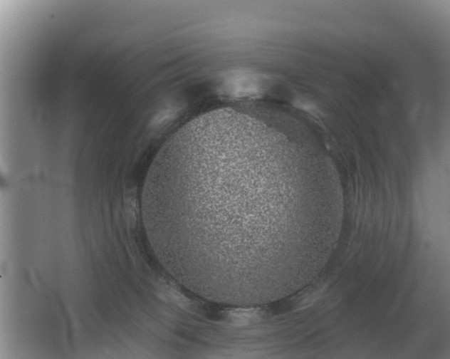 X0000068280085200604281629