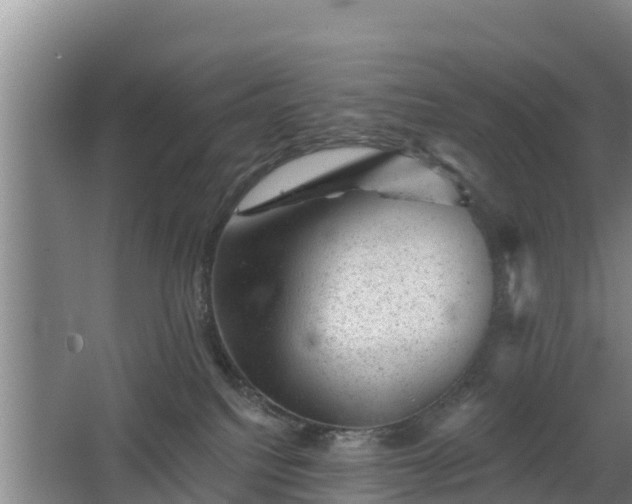 X0000068280088200604281629