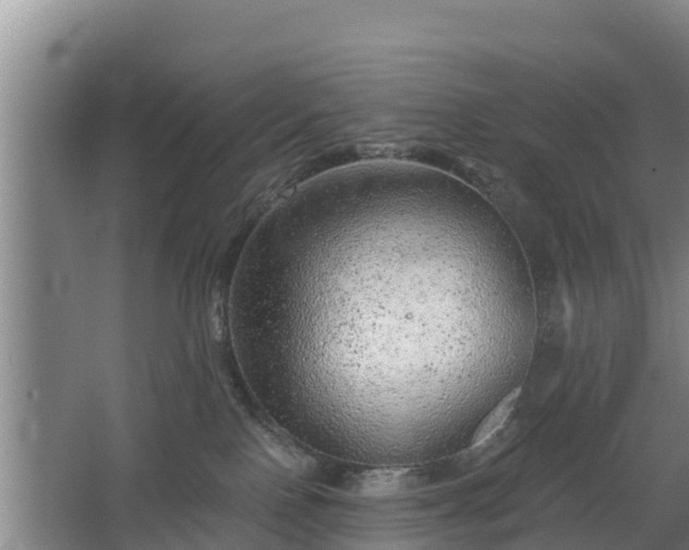 X0000068280090200604281629