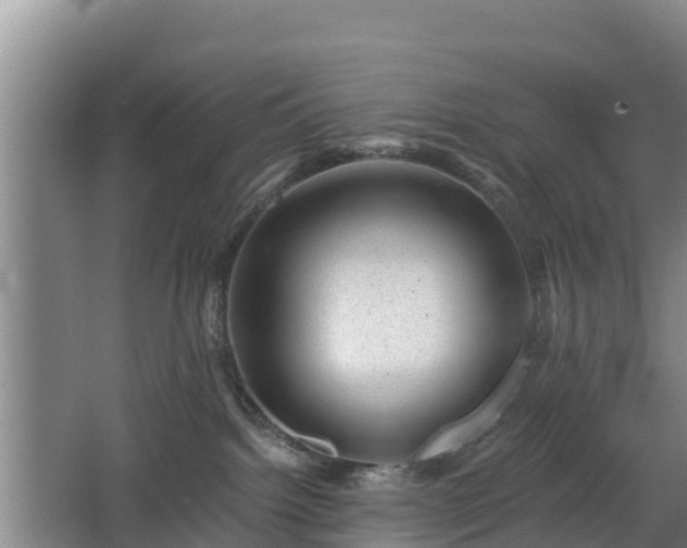 X0000068280092200604281629