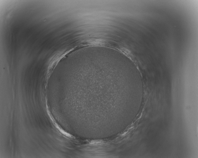 X0000068280097200604281628