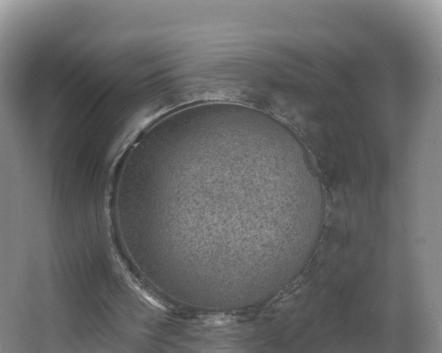 X0000068280098200604281628