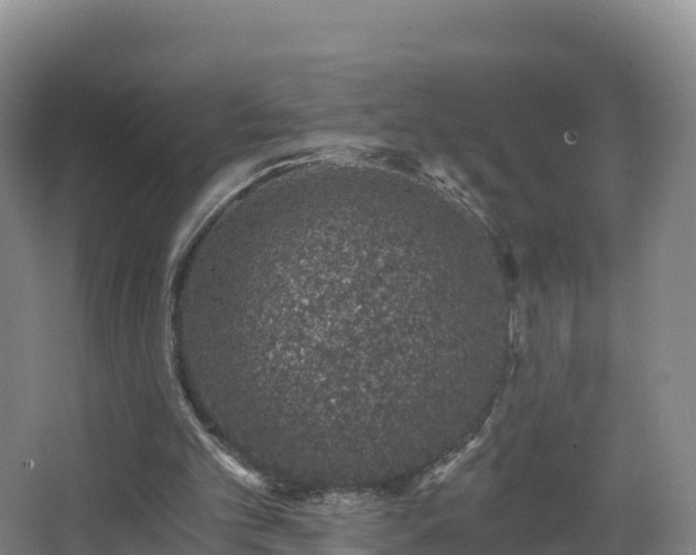 X0000068280101200604281628