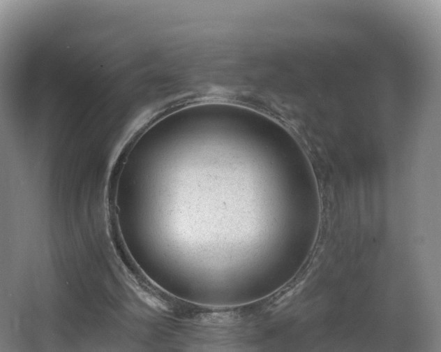 X0000068280102200604281628