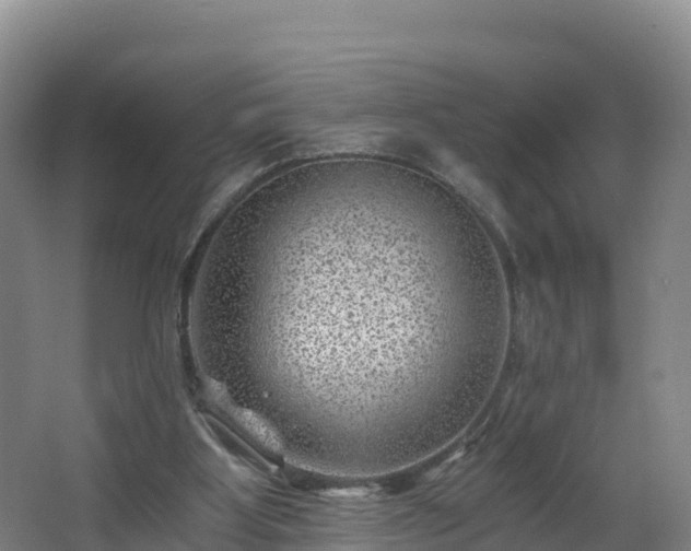 X0000068280107200604281628