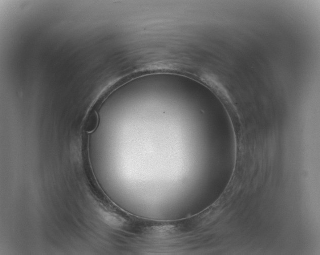 X0000068280108200604281628