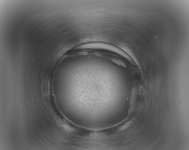 X0000068280109200604281628