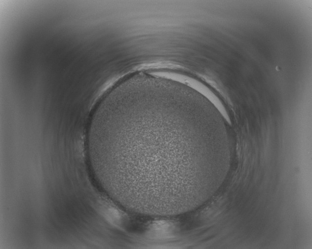 X0000068280111200604281628