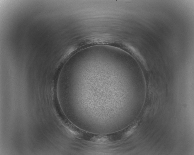 X0000068280113200604281628