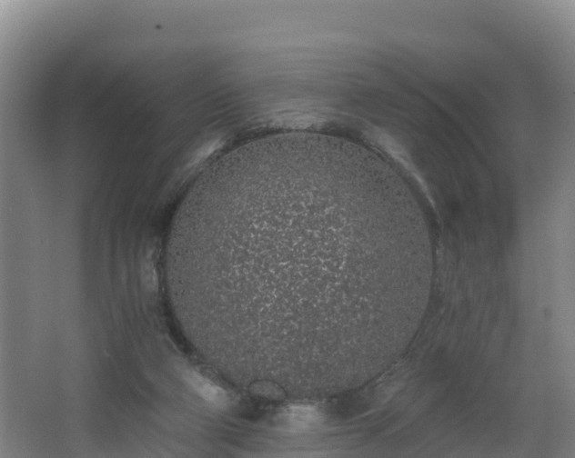 X0000068280114200604281628