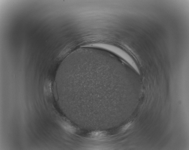 X0000068280117200604281628