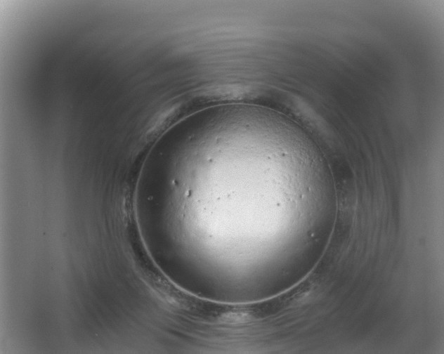 X0000068280119200604281628