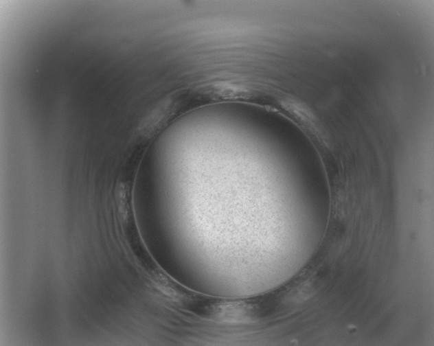 X0000068280121200604281628