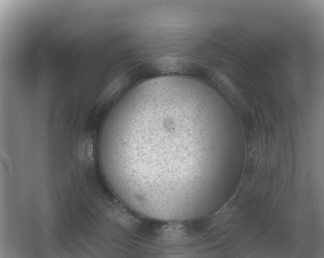 X0000068280124200604281628