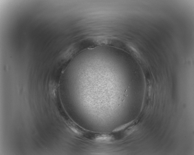 X0000068280125200604281628