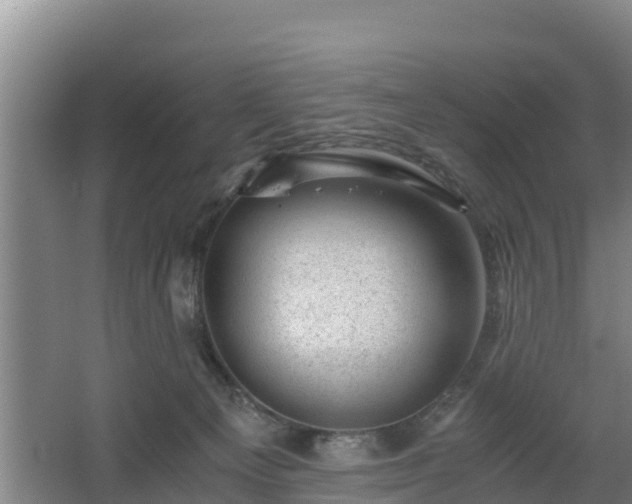 X0000068280129200604281627