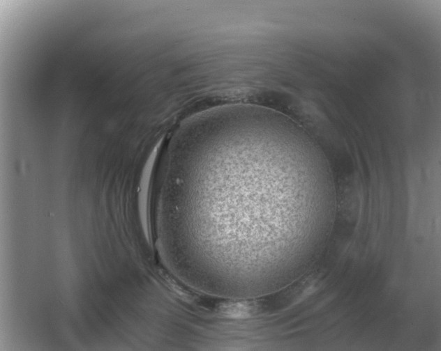 X0000068280131200604281627