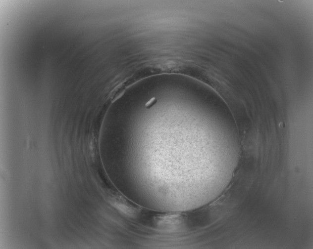 X0000068280132200604281627