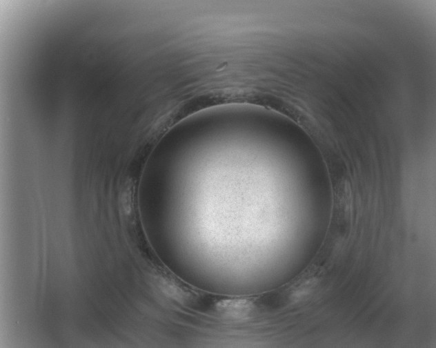 X0000068280133200604281627