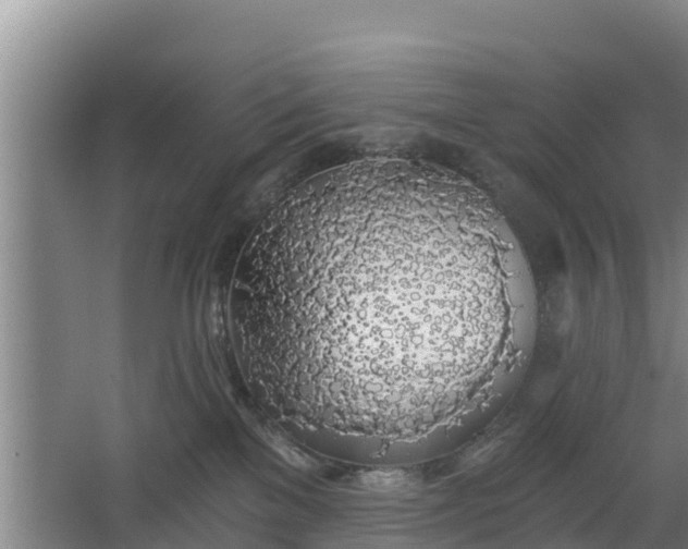 X0000068280137200604281627