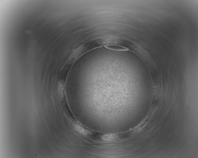 X0000068280142200604281627