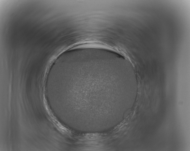 X0000068280145200604281626