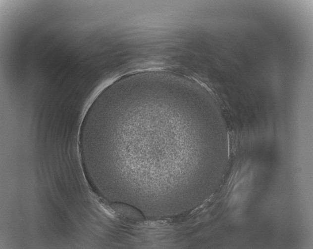 X0000068280147200604281626