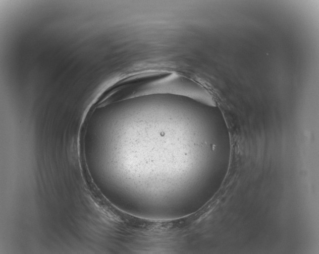 X0000068280148200604281626