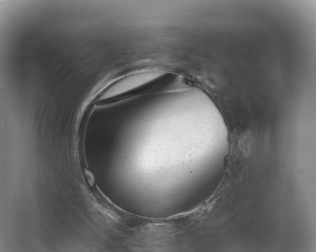 X0000068280150200604281626