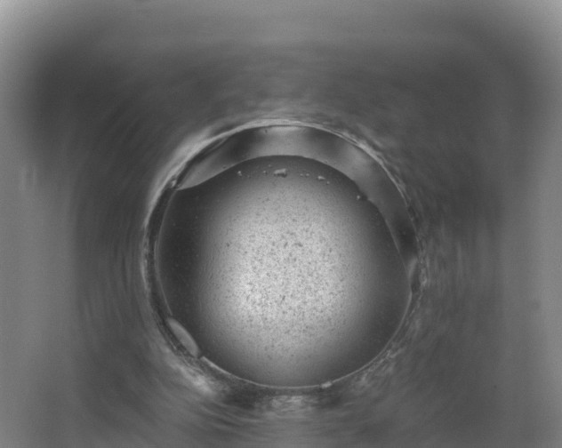 X0000068280152200604281626