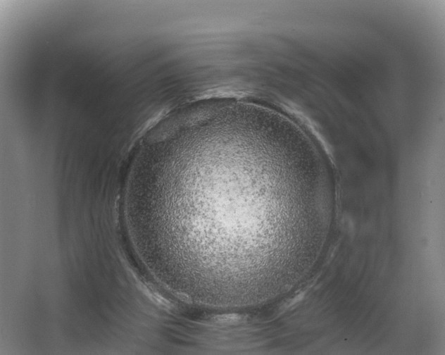 X0000068280153200604281627