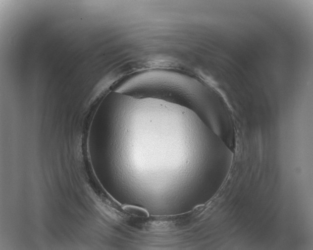 X0000068280154200604281627