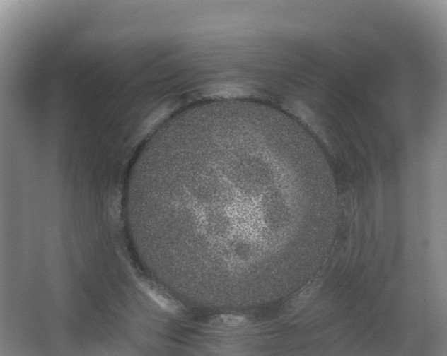 X0000068280159200604281627