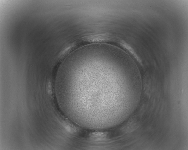 X0000068280161200604281627