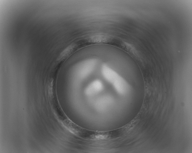 X0000068280163200604281627