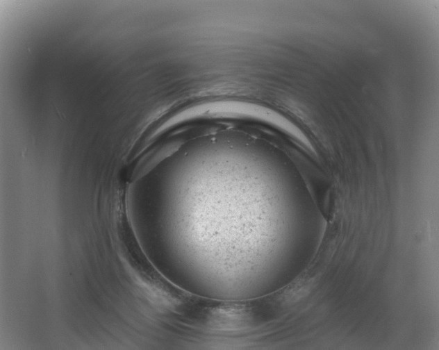 X0000068280164200604281627