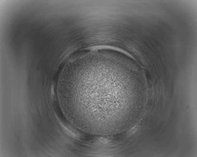 X0000068280166200604281627