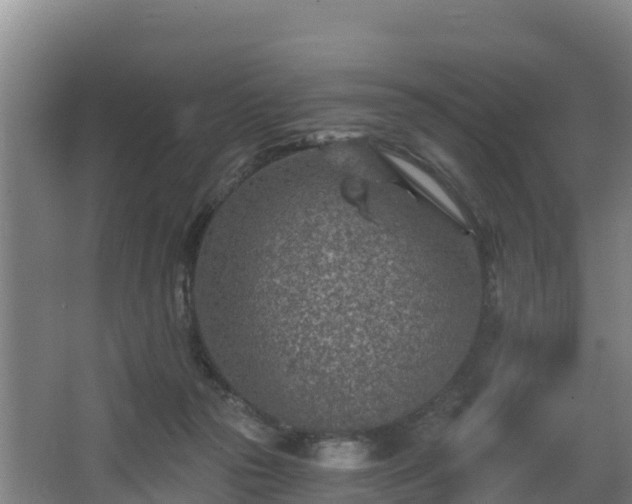 X0000068280169200604281627