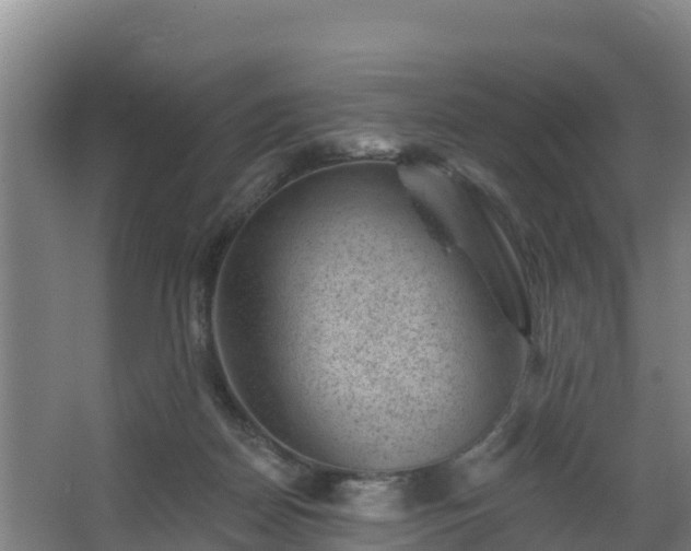 X0000068280170200604281627