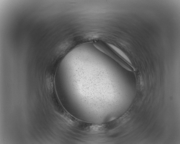 X0000068280172200604281627