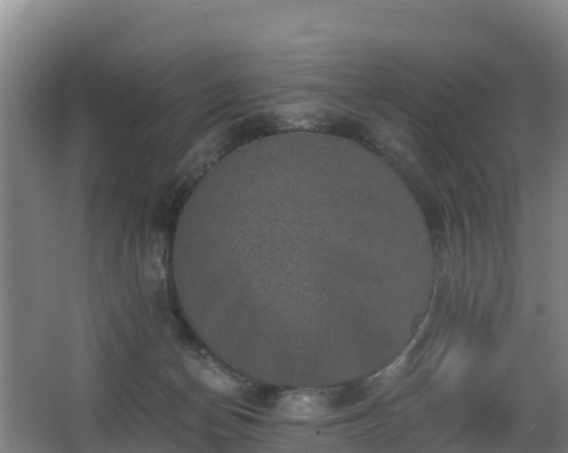 X0000068280174200604281627