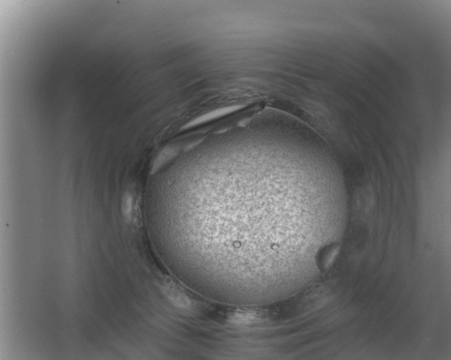 X0000068280177200604281627