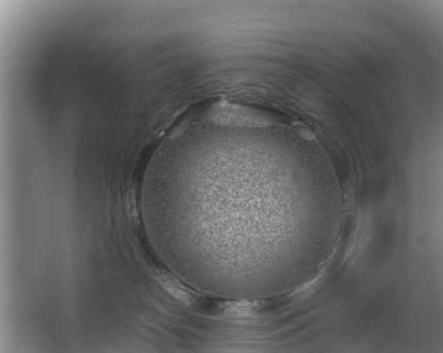 X0000068280182200604281627