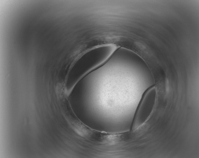 X0000068280184200604281627