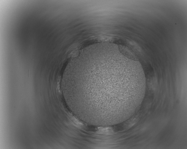 X0000068280185200604281627