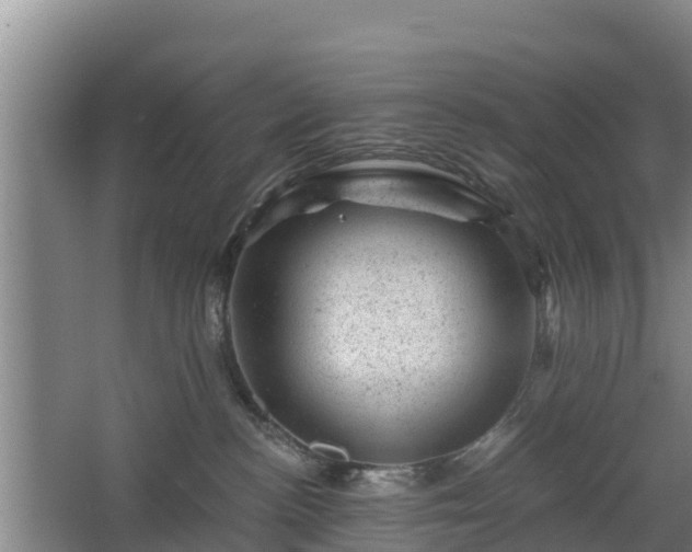 X0000068280188200604281627