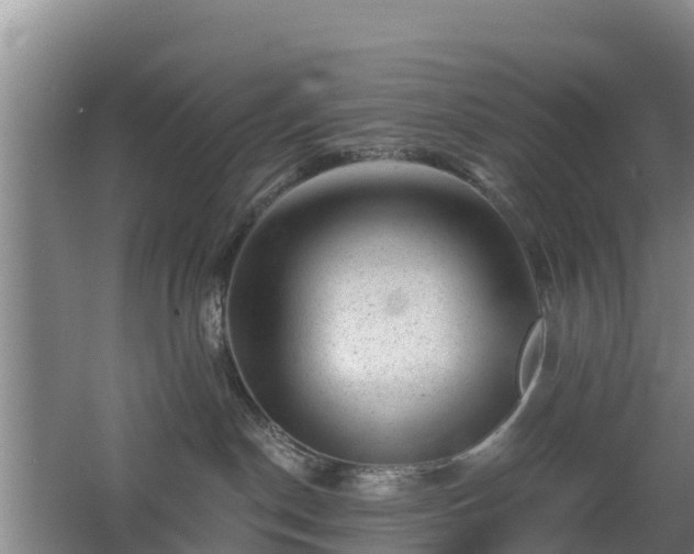 X0000068280190200604281627