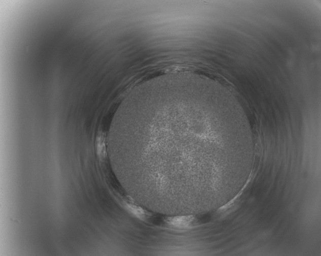 X0000068280191200604281627